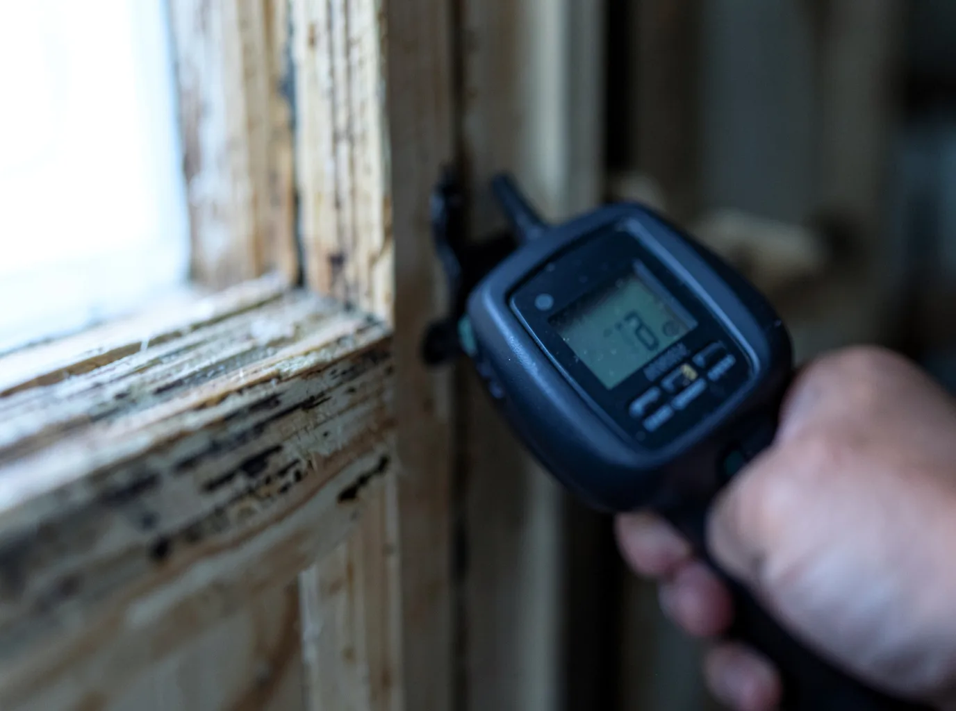 Moisture Inspection And Documentation in Halifax, PA